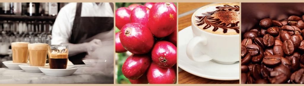 Collage of coffee related images. The first is a barista with three cups of full coffee, the second is coffee cherries, a coffee cup and then roasted beans